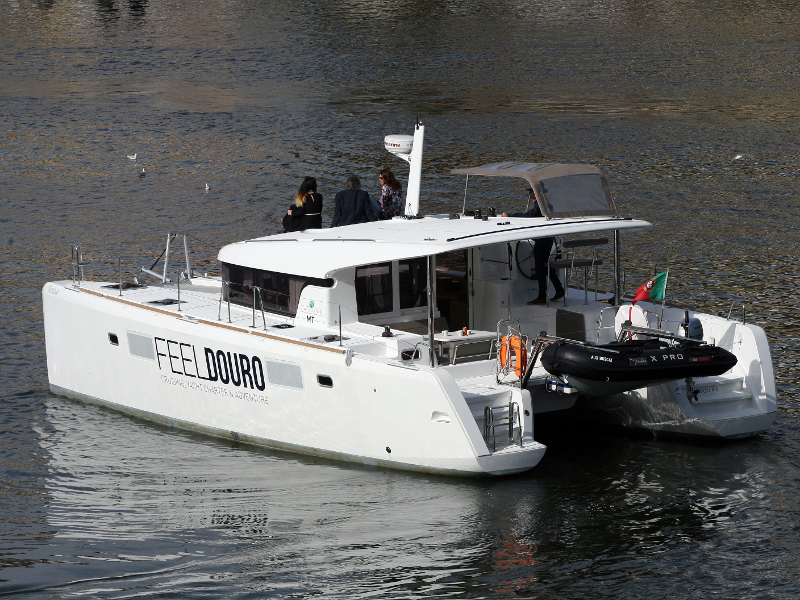Immagine Lagoon 39 motor
