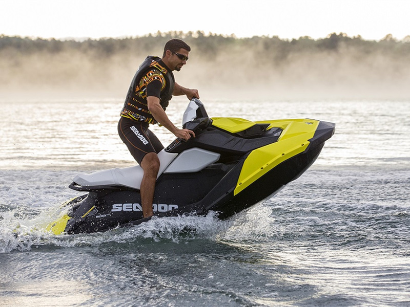Immagine Sessa C52