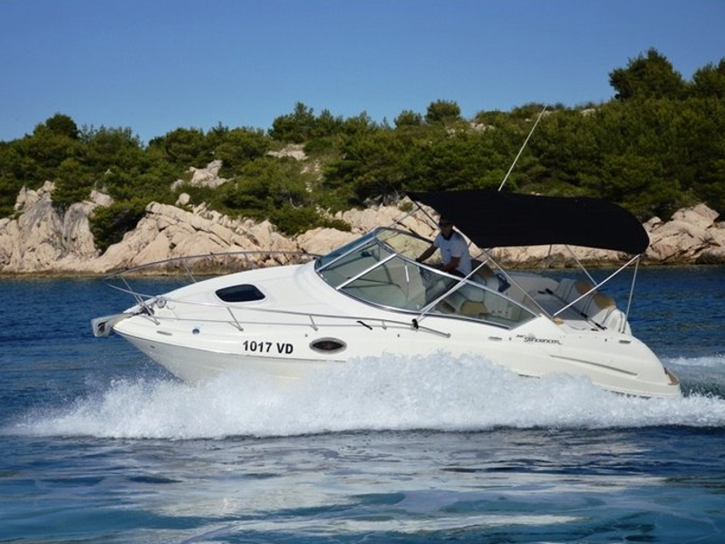 Immagine Sea Ray 240 Sundancer