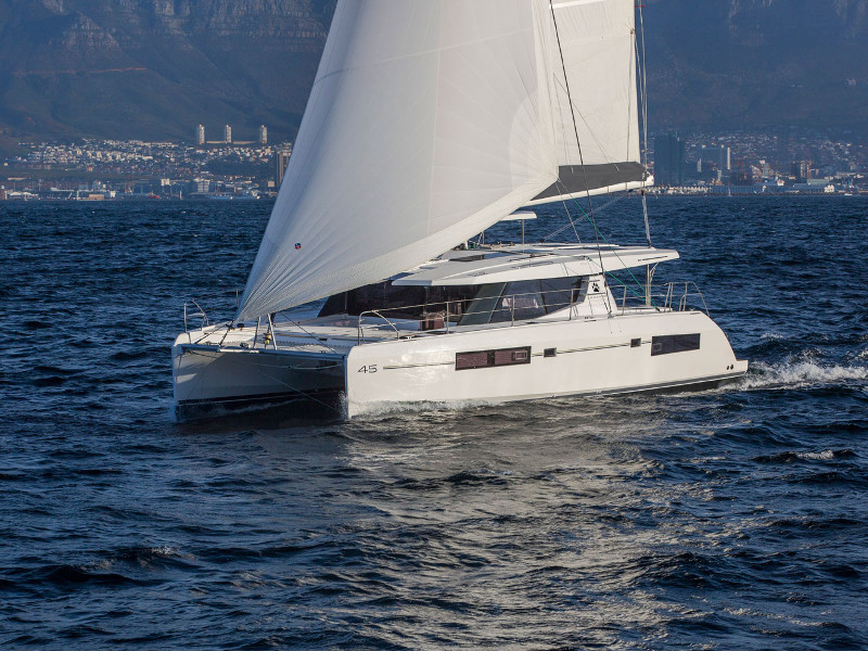 Immagine Leopard 45