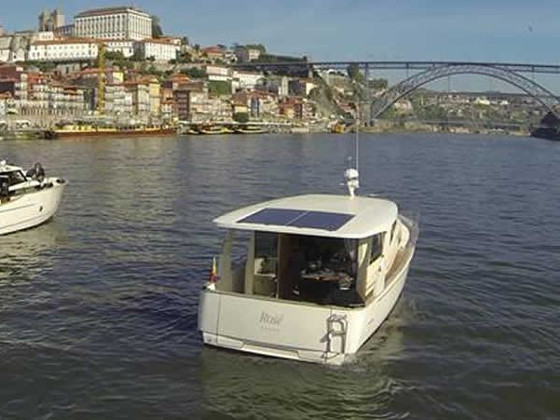 Immagine Greenline 33