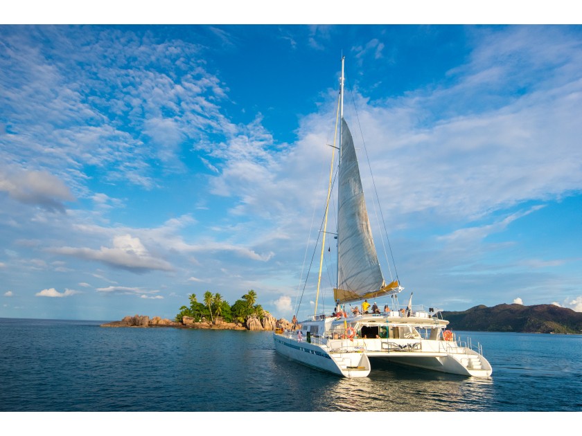 Immagine Mojito 78 