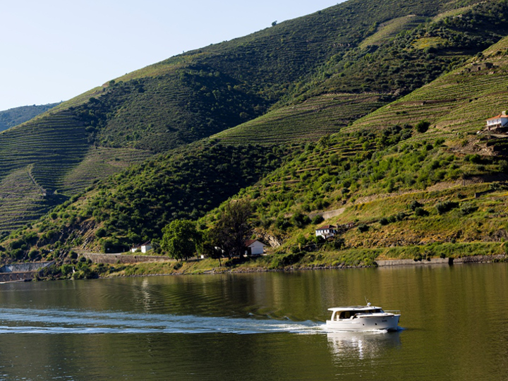 Immagine Greenline 40