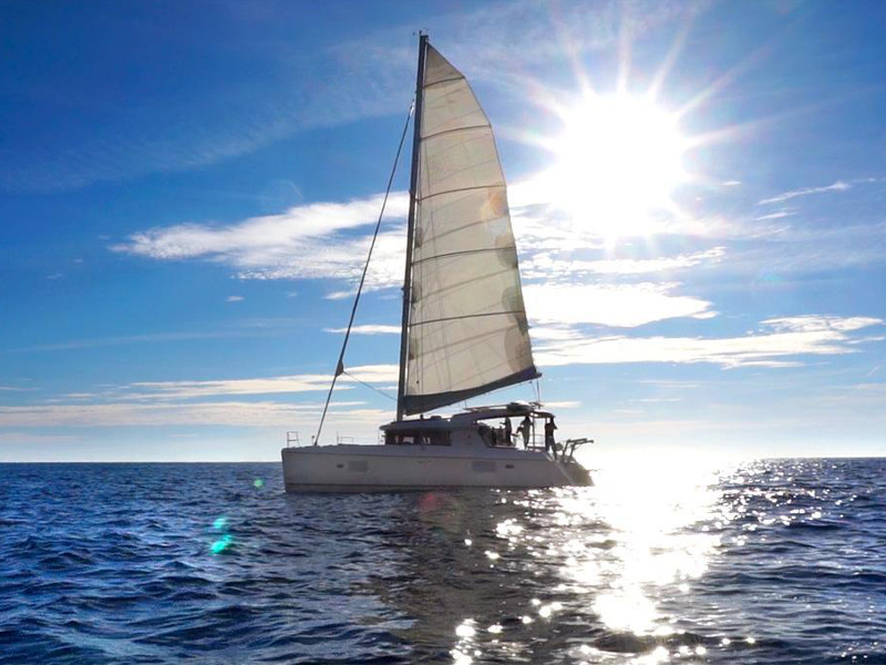 Immagine Lagoon 421
