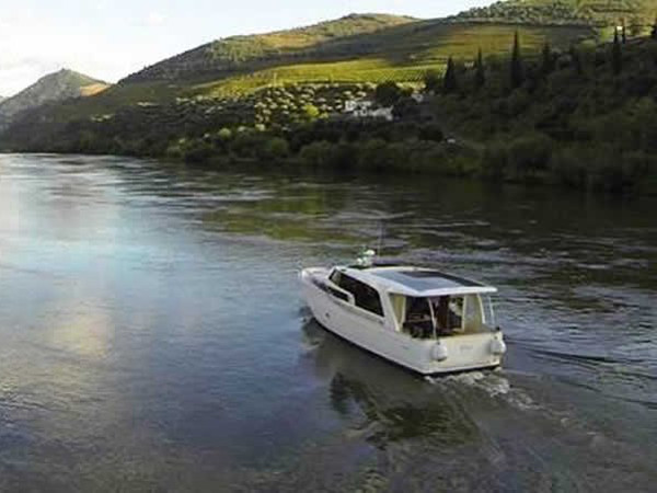 Immagine Greenline 33