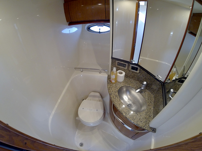 Immagine Sea Ray 455
