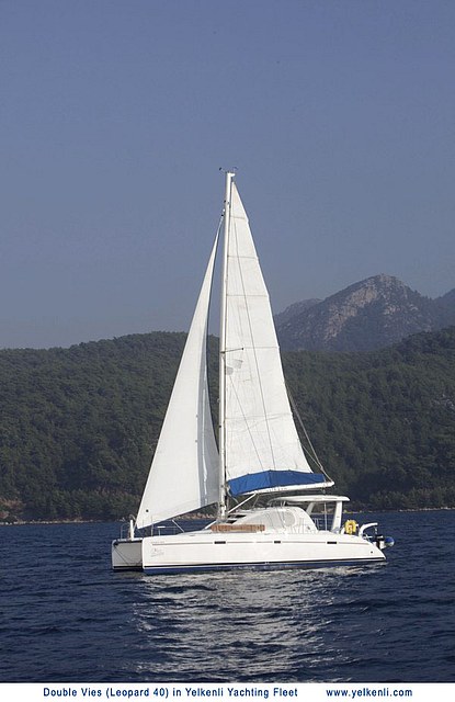 Immagine Leopard 40