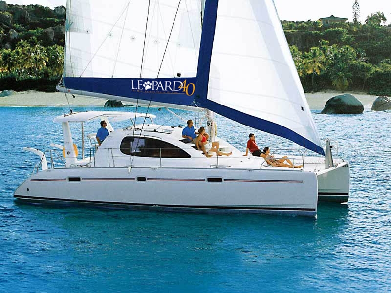 Immagine Leopard 40