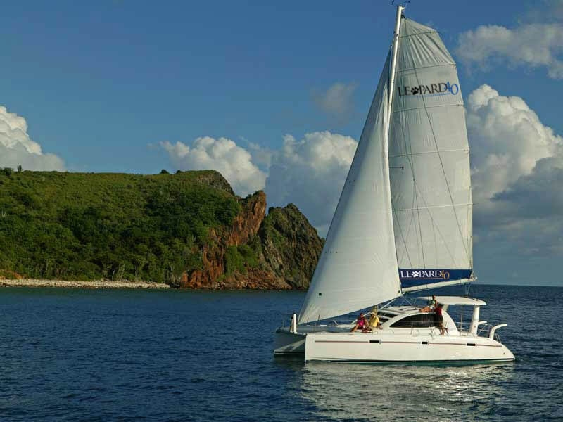 Immagine Leopard 40