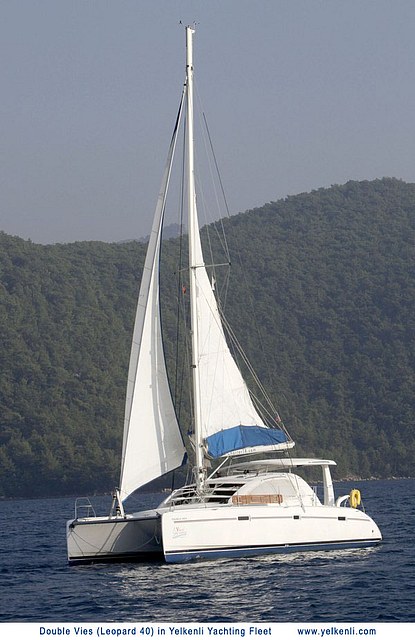 Immagine Leopard 40