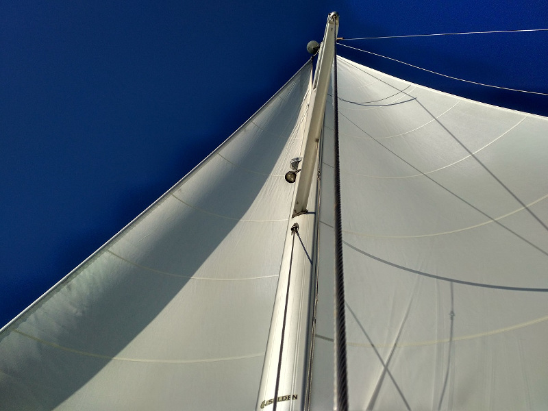 Immagine Elan 444 Impression