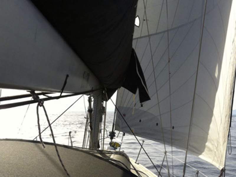 Immagine First 47.7
