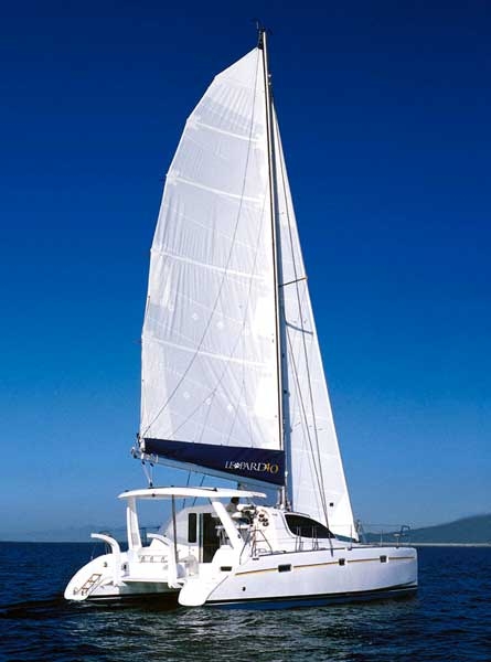 Immagine Leopard 40