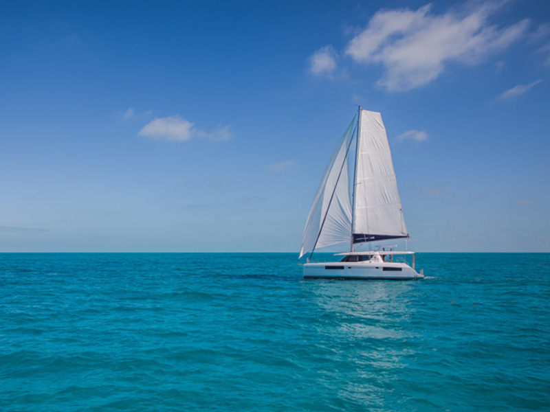 Immagine Leopard 44