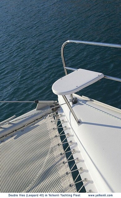 Immagine Leopard 40