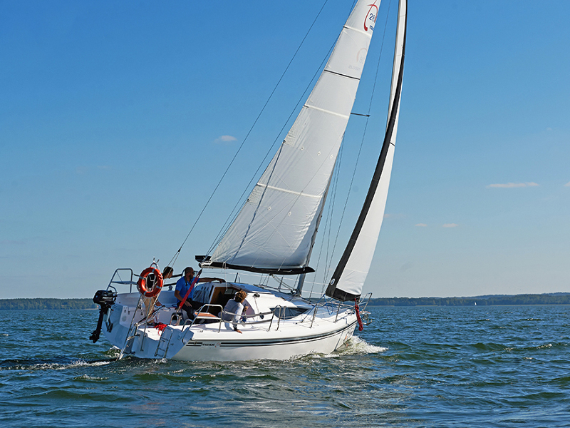 Immagine Maxus 28 Prestige +