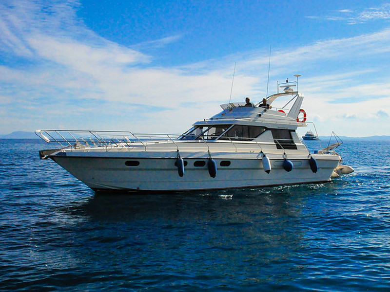 Princess 45 image