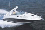 Immagine Sea Ray 335 Sundancer 