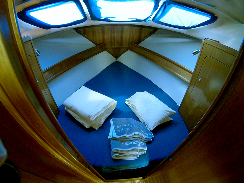 Immagine Adria Vektor 1002