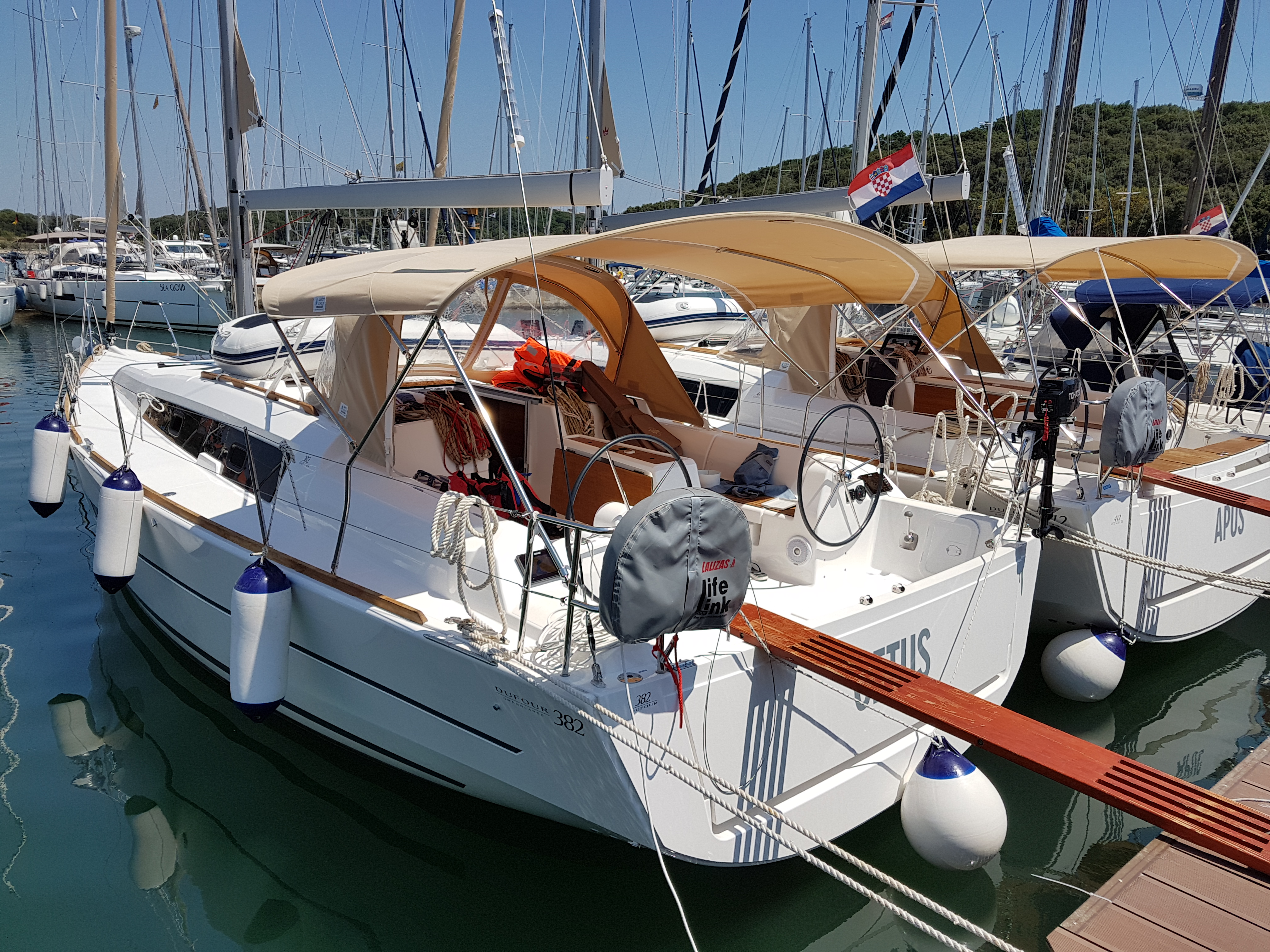 Immagine Dufour 382 Grand Large
