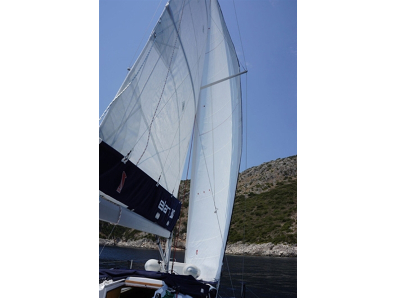Immagine Elan 310 Performance