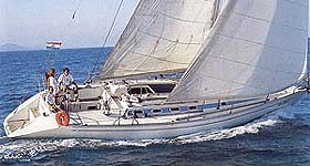 Immagine Delphia 31