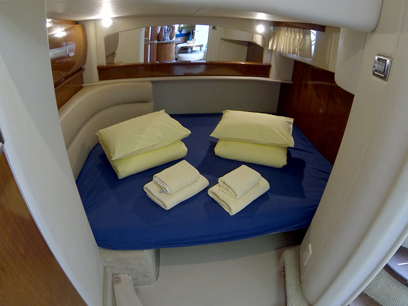 Immagine Sea Ray 455
