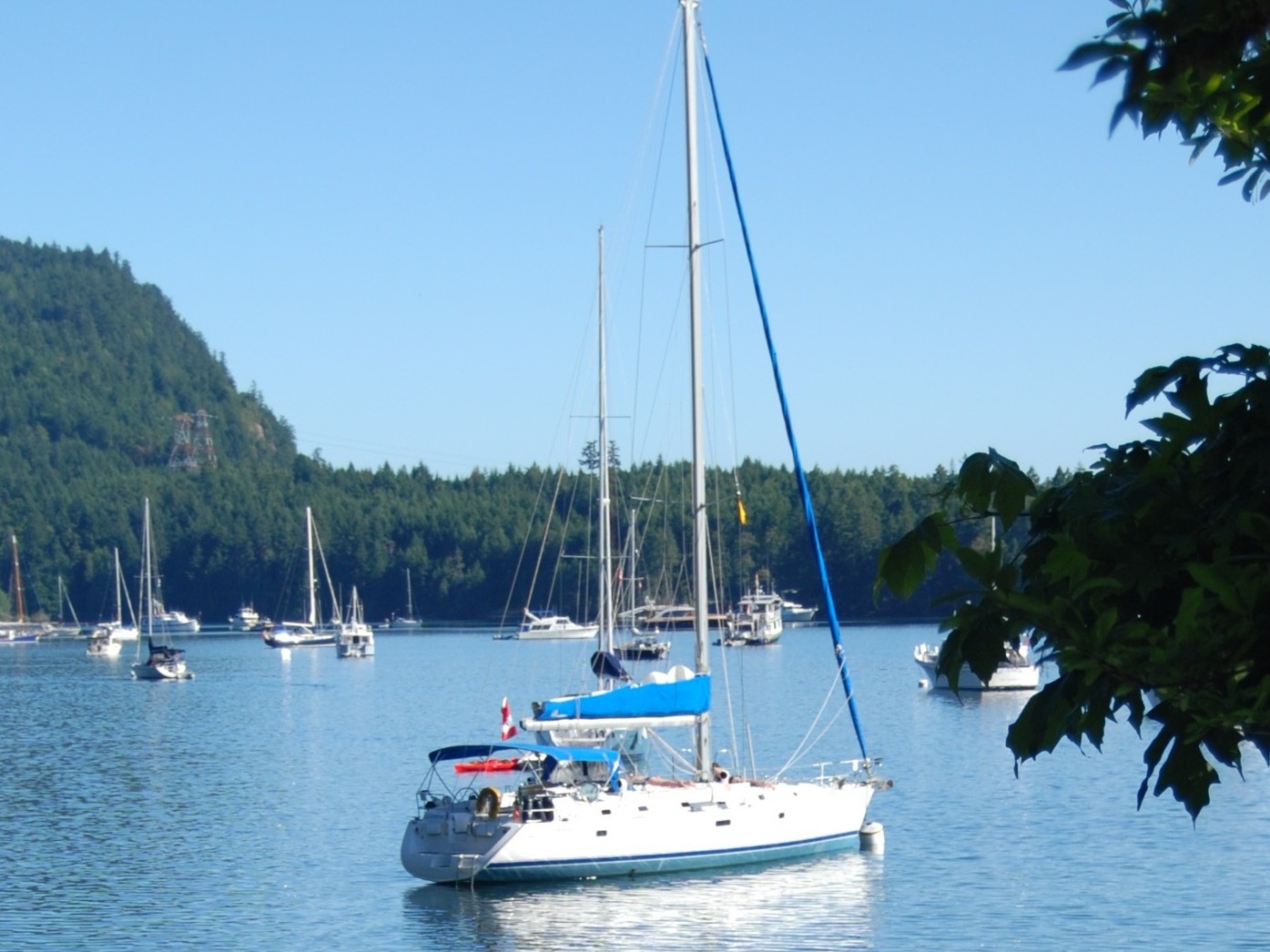 Immagine Beneteau 50