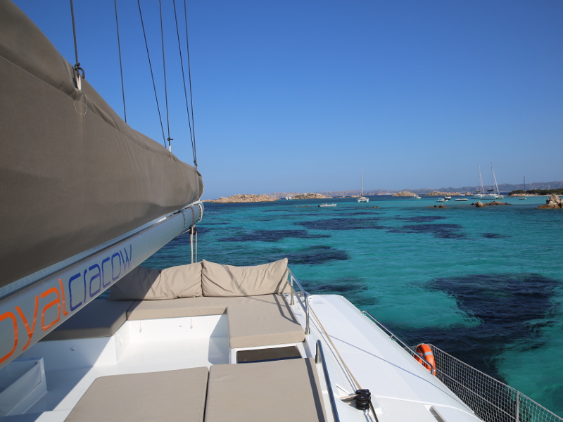Immagine Saba 50