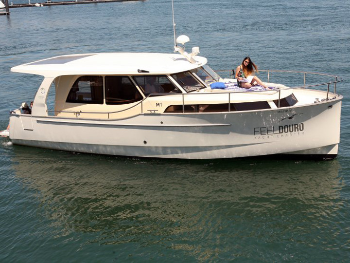 Immagine Greenline 33