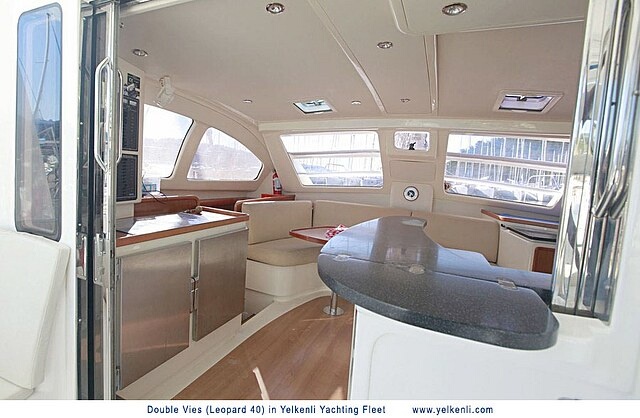 Immagine Leopard 40