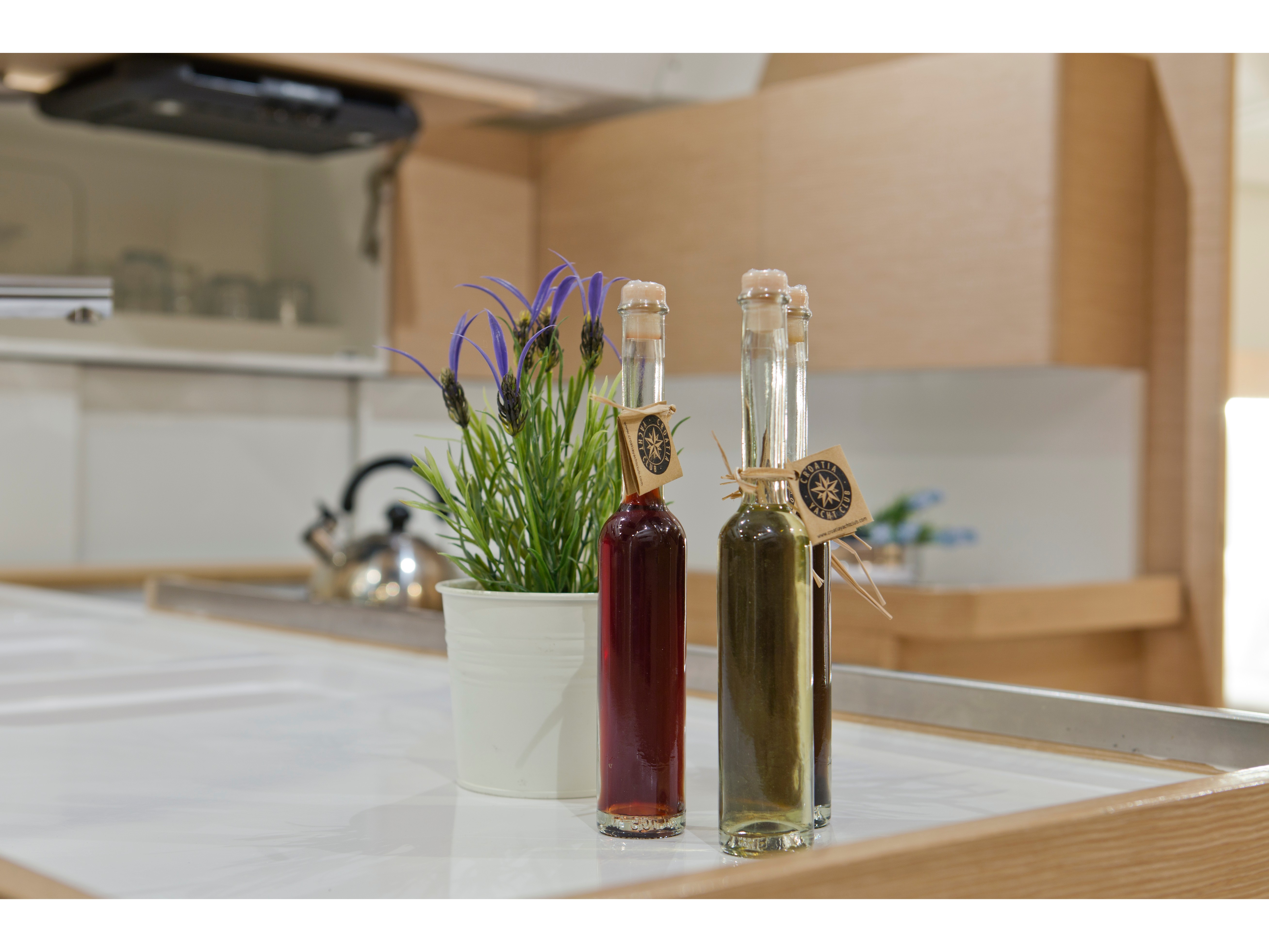 Immagine Elan 50 Impression