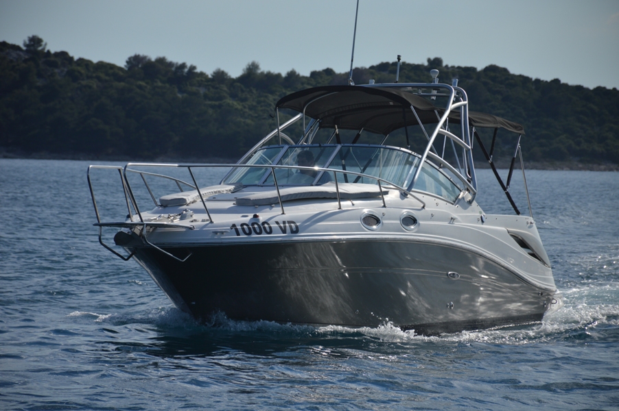 Immagine Sea Ray 275 Amberjack