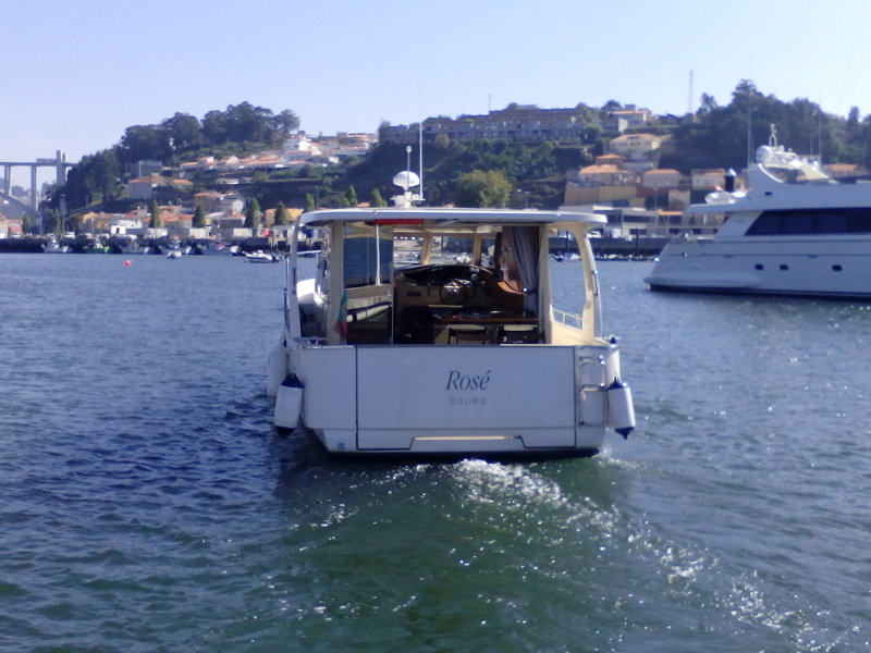 Immagine Greenline 33