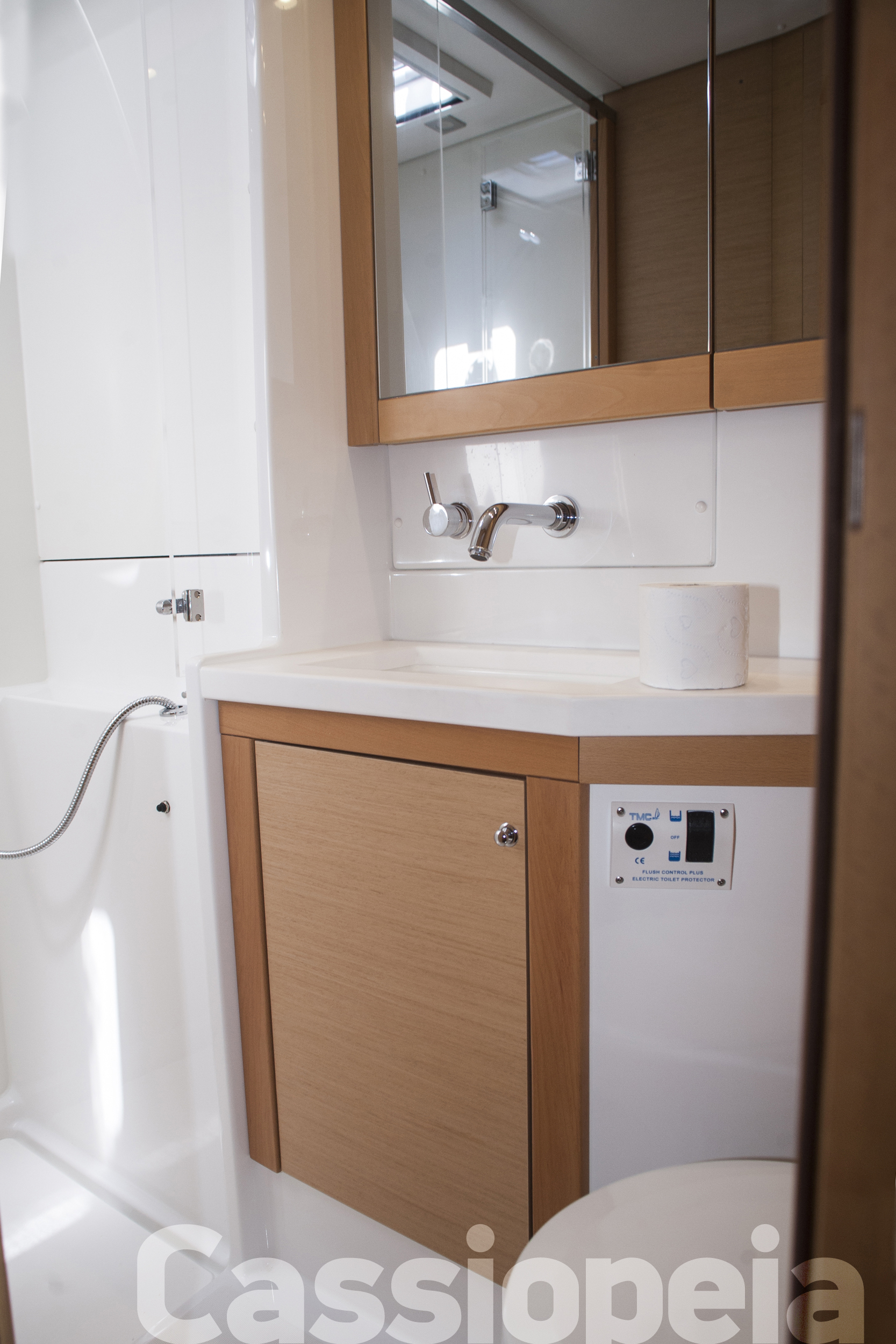 Immagine Lagoon 450