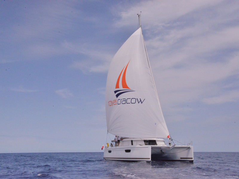 Immagine Saba 50