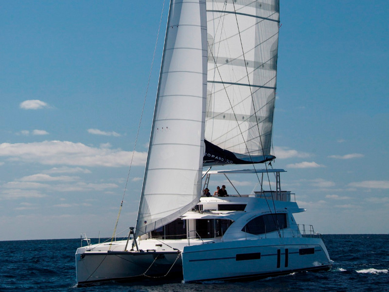 Immagine Leopard 58