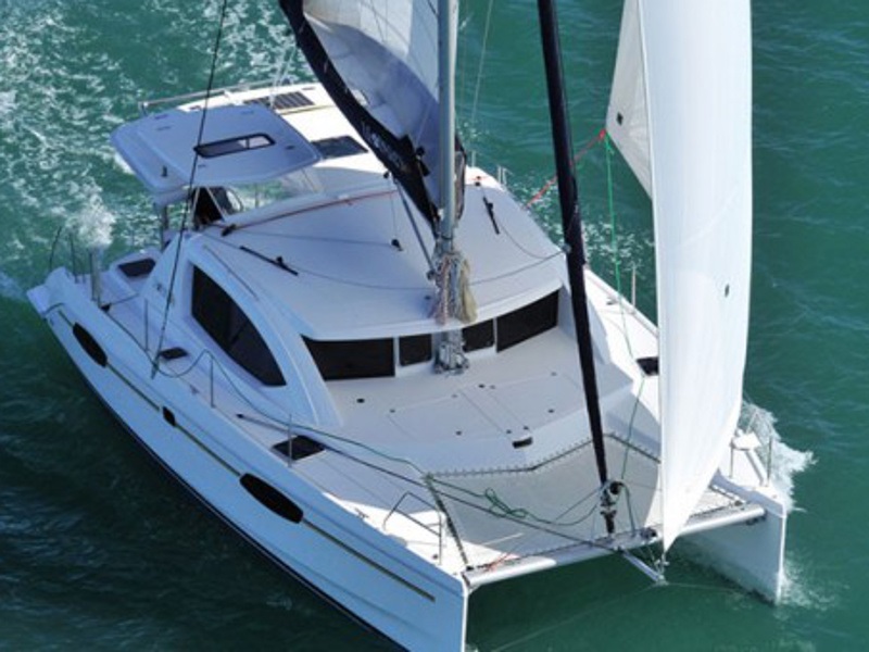 Immagine Leopard 38