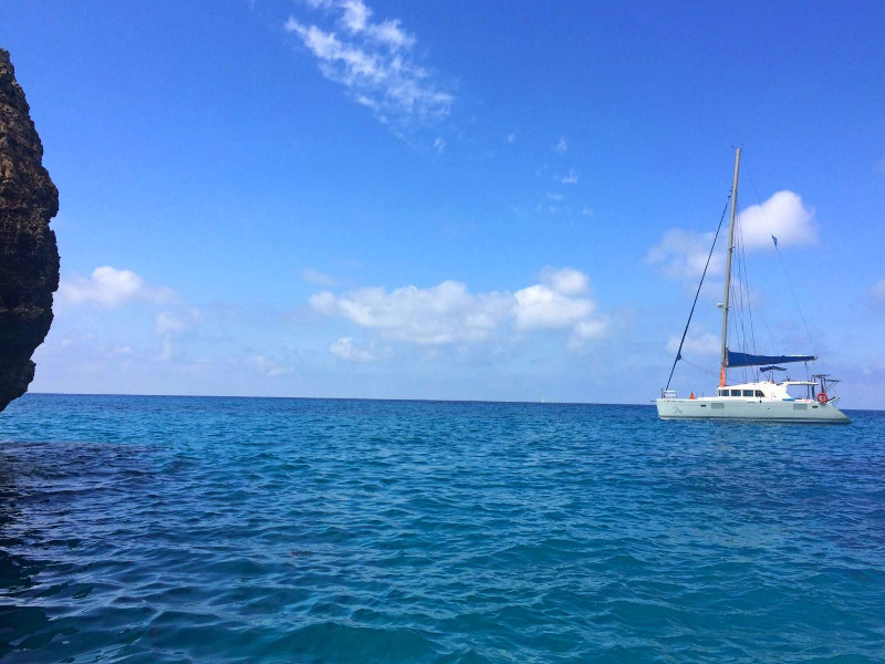 Immagine Lagoon 440