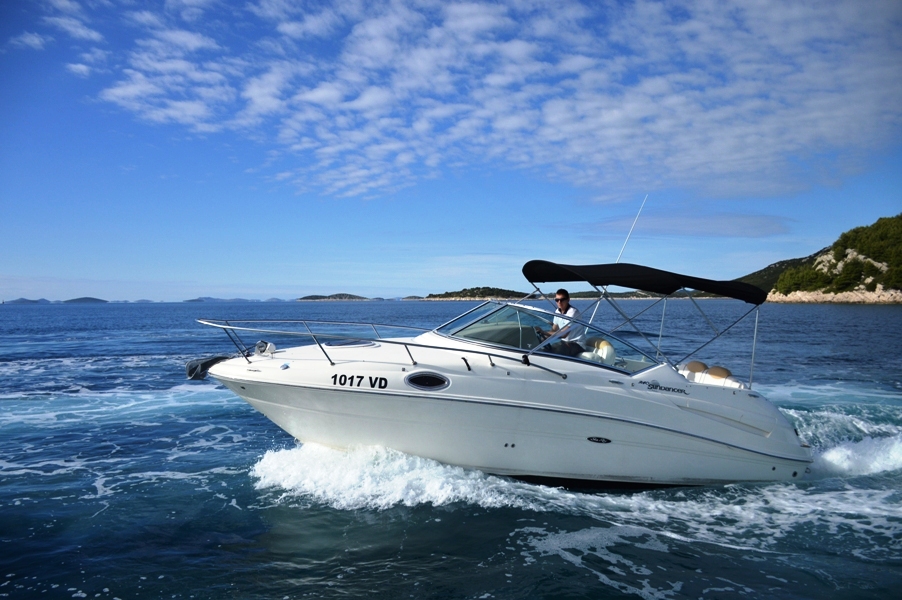 Immagine Sea Ray 240 Sundancer
