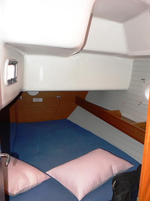 Immagine Bavaria 43 Cruiser