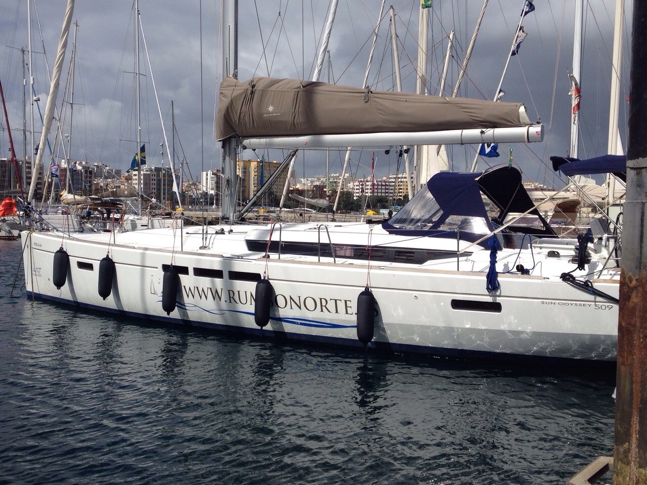 Immagine Jeanneau SO 509