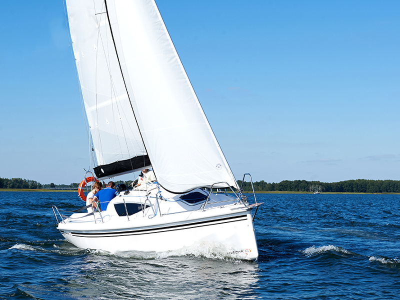 Immagine Maxus 22 Prestige