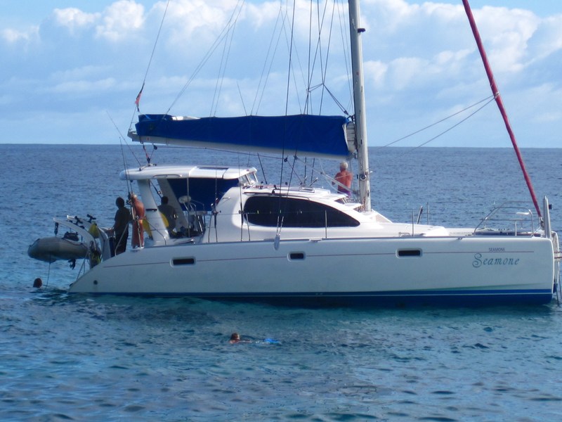 Immagine Leopard 40