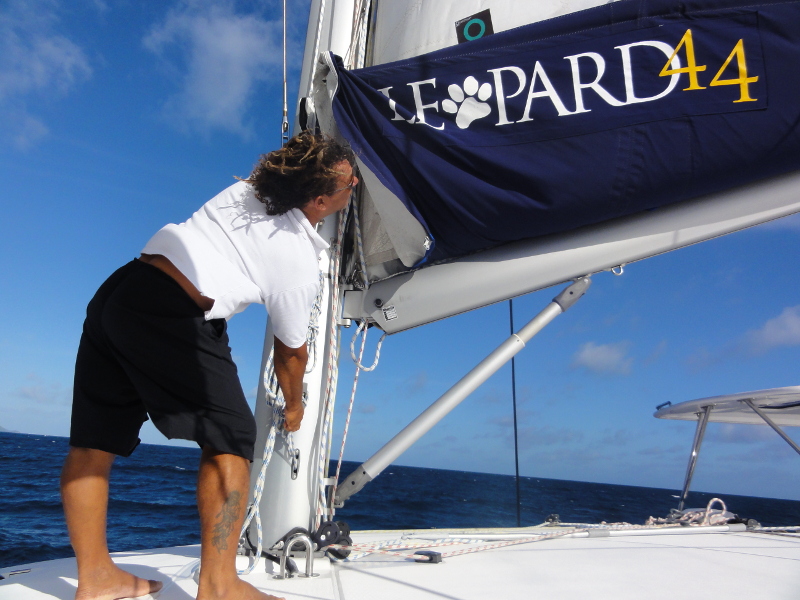 Immagine Leopard 44