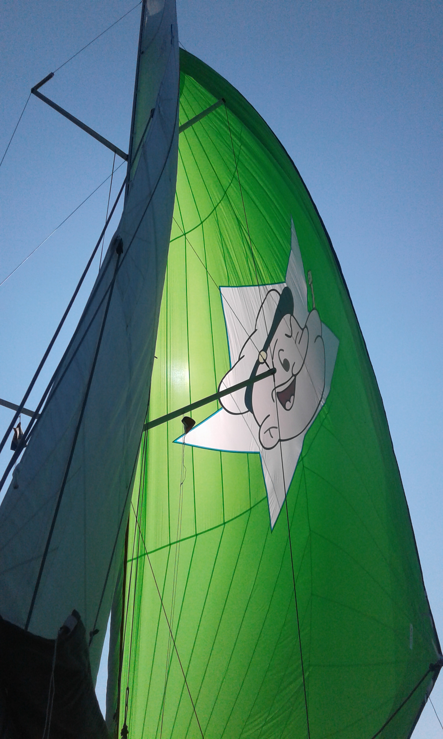 Immagine Sun Odyssey 349