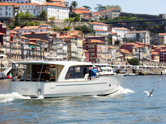 Immagine Greenline 40