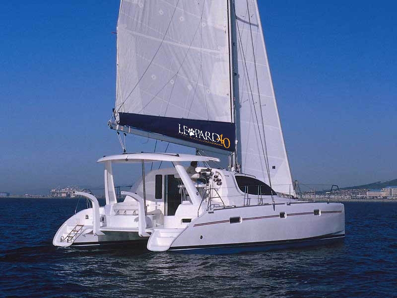 Immagine Leopard 40