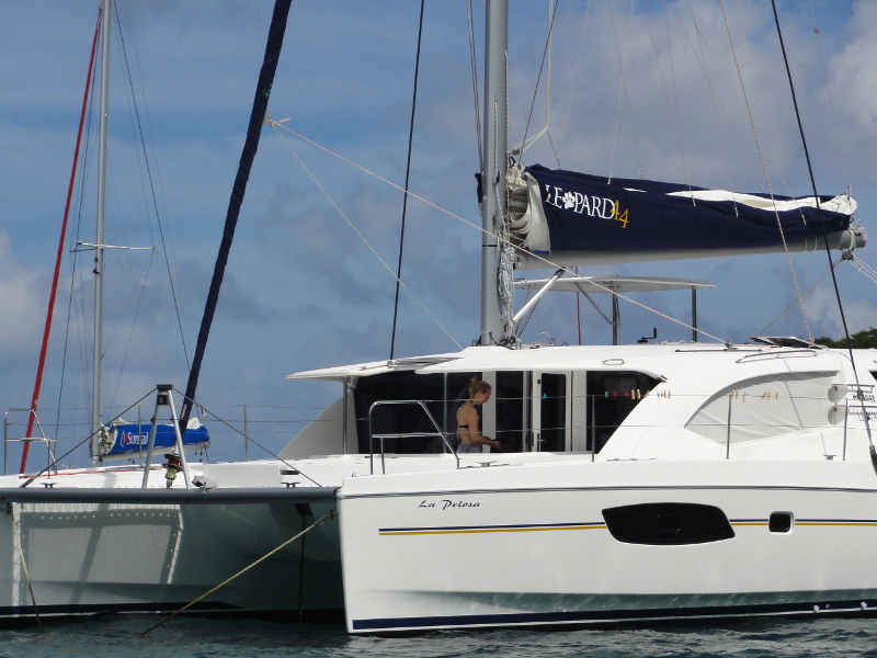 Immagine Leopard 44