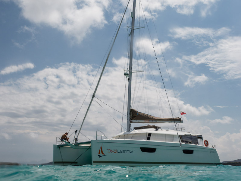 Immagine Saba 50